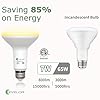 evelor 12 Pack BR30 Flood LED Light Bulbs 65W Equivalent, 7W Energy Efficient, Dimmable 800LM Bulbs 2700K Warm White, E26 Base for Recessed Cans, Indoor Home Kitchen Bedroom, 15,000 Hours, ETL
