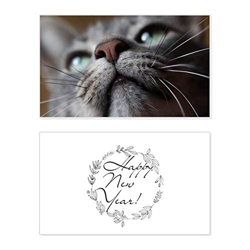Tarjeta conmemorativa de Año Nuevo con foto de gato para felicitar las fiestas a tus seres queridos
