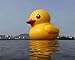 20ft 6M Outdoor Giant Inflatable Promotion Yellow Rubber Duck Floats Pool Lake