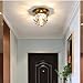 BNTCTC Corridor Semi Flush Mount Ceiling Light, Crystal Glass Lampshade Gold Ceiling Lamp G4 Home Indoor Porch Light Fixture Used for Decorative Lighting