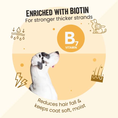 What Is Biotin Deficiency Dogs