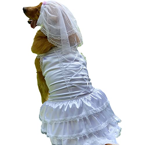 Apott 2Pcs White Dog Dress Wedding With Veil Puppy Lace Pleated Skirt Pet Classic Bride Tutu Costume For Medium Girl Dog M #TOP6