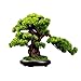 Fontanna stołowa Welcome Pine Desktop Decoration Plant Bonsai Dekoracje wnętrz, Fałszywy Drzewek na dużą skalę Drzewek Mikro-Krajobraz Dekoracja Pomieszczenia