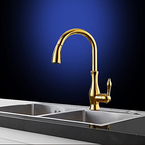 Grifo de cocina con ducha extraíble de doble función y caño alto comercial 4
