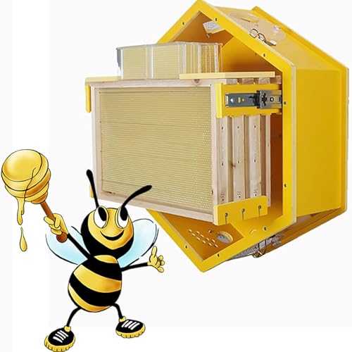 Alveare da parete per la raccolta di alveare naturale, facile gestione delle colonie di api, perfetto per gli appassionati di apicoltura