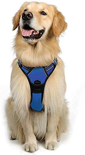 rabbitgoo Harnais Chien L Arnet Anti Traction Bleu Réfléchissant Gilet