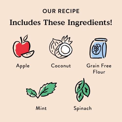 Bocce’s Bakery Dailies Brushy Sticks To Support Oral Health & Fresh Breath, Wheat-Free Dental Bars For Dogs, Made With Real Ingredients, Baked In The Usa, All-Natural Coconut & Mint Recipe, Small Dogs #TOP2