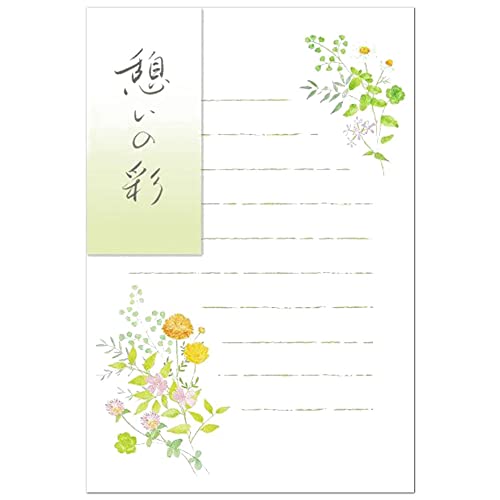 ͂ Ԍ e 4112803 i33j 5 r ʔN I[V[Y NB Gkr[