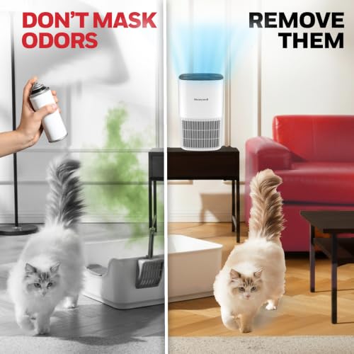 Honeywell Allergen Plus Compact Small Room HEPA Air Purifiers for Home - image 4