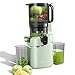 AMZCHEF Spremiagrumi automatico all-in-one, 250 W, apertura 135 mm e spremiagrumi da 1,8 l, per frutta e verdura, vincitore del test con triplo filtro - verde immagine