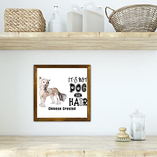 Cadre en bois It's Not Dog Hair Labrador, le cadeau idéal pour maîtres