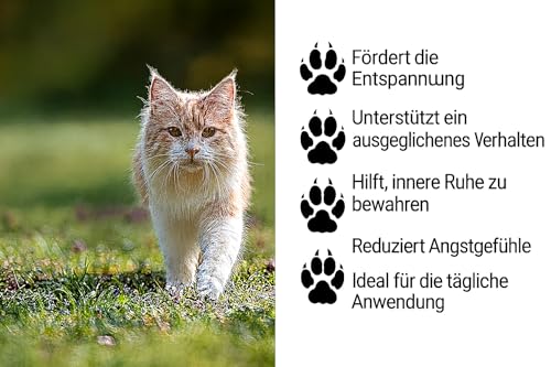 Tiermax Öl für Katzen, Hanföltropfen, für Gelenke und Fell