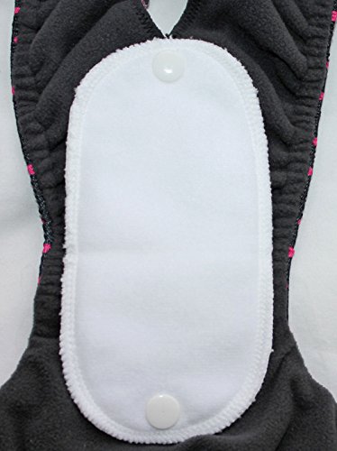 Glenndarcy Hundewindeln - OHNE SCHWANZLOCH - für z.B FRENCHIES und Bulldoggen - Frenchies Medium Long & 2 Washable Pads