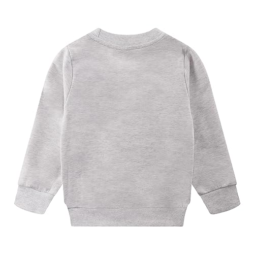 Image of Akyzic Boys Sweatshirts Cotton Long Sleeve Crewneck Pullover Toddler Kids Winter Warm Shirt Sweater Tops 3t-8t