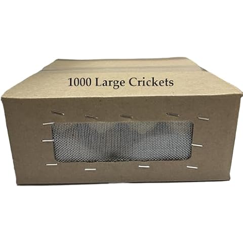 BASSETT'S CRICKET RANCH 1000 Large (1") Banded Crickets Cover