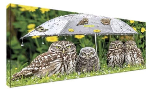 Diamond Painting hibou et parapluie 60x30cm DIY