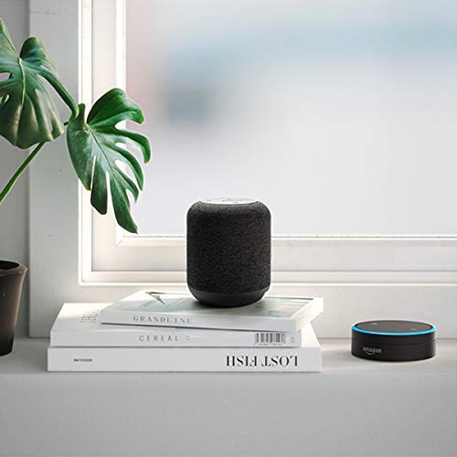 Shower Speaker, Soundcore Motion Q Portable Bluetooth Speaker by Anker, 360° Speaker with Dual 8W Drivers for Louder Sound, and IPX7 Waterproof Speaker for Outdoor Activities and Pool Parties