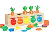 YEGEER Montessori Toys for 1 2 3 Years Old, Wooden Shape Sorter & Color Matching Box, Toddler Learning Toys for 12-18 Months for Preschool, Ideal Christmas, Birthday, Easter Gifts for Boys Girls