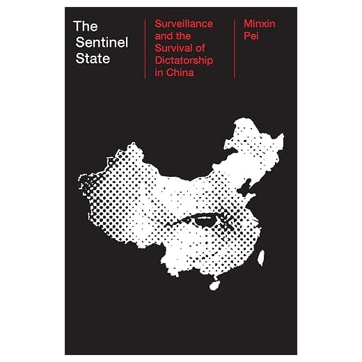 The Sentinel State: Surveillance Analysis