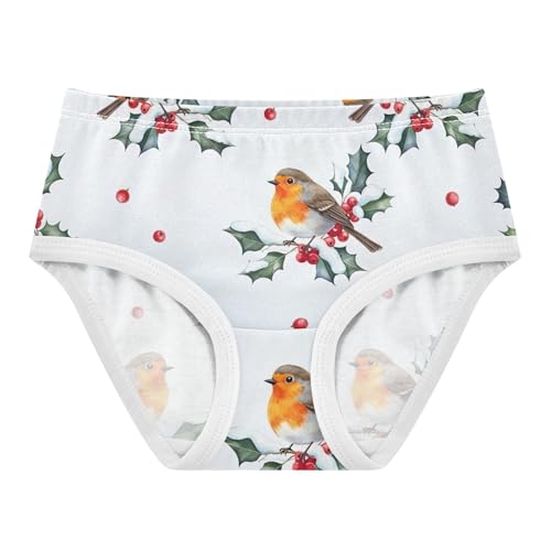 Girls Underwear Toddler 2t Cotton Cute Panties Girl Fun Print Briefs Kids Undies Cartoon Birds Red Berries Winter