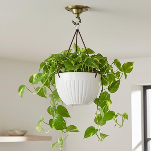 LEDSone Pack of 3 Ceiling Rose Hook Plate Metal Green Brass 75mm Ceiling Light Fitting with Accessories for Chandeliers Pendant Lights Wall Lamps Hanging Lights Planters Decorations - Image 7