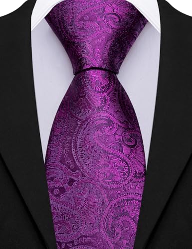 Image of Barry.Wang Paisley Tie for Men Silk Woven Necktie and Tie Clip Set Wedding Party Business Formal