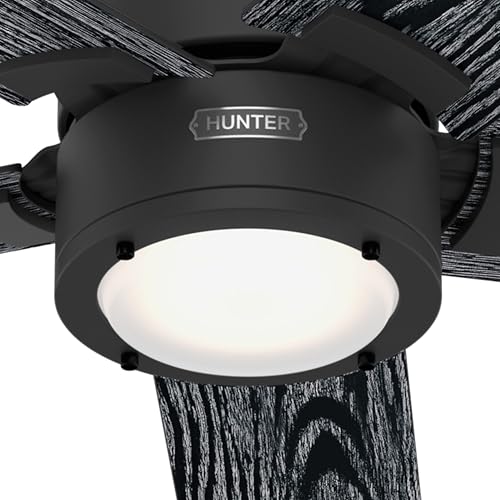 Image of Hunter 52 Inch Indoor Ceiling Fan with LED Light and Remote Control - Black Modern Ceiling Fan, 5 Blades and 6 Speed WhisperWind Motor, For Bedroom, Living Room or Kitchen, ENERGY STAR - Erling, 52850