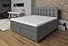 Produktbild Tesla Dreams Boxspringbett 160x200 Ronda, 7 Zonen Taschenfederkern-Matratze H2/H3, Topper Komfortschaum, Unterbau Taschenfederkern, Grau