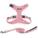Best Pet Supplies Voyager Step-in Lock Dog Harness and Reflective Dog Leash Combo Set with Neoprene Handle 5ft Long - Supports Small, Medium and Large Breed Puppies/ Cats - Pink (w Leash), M