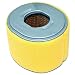 Product Pro Air Filter & NGK BPR6ES Spark Plug for GX240, GX270
