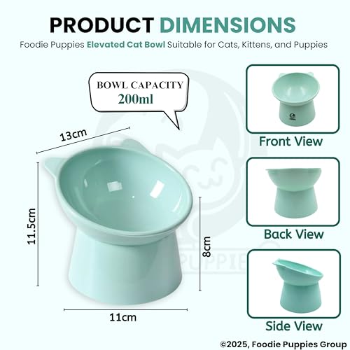 Foodie Puppies Store Foodie Puppies Elevated Cat Bowl Feeder Pack of 2 - Image 3