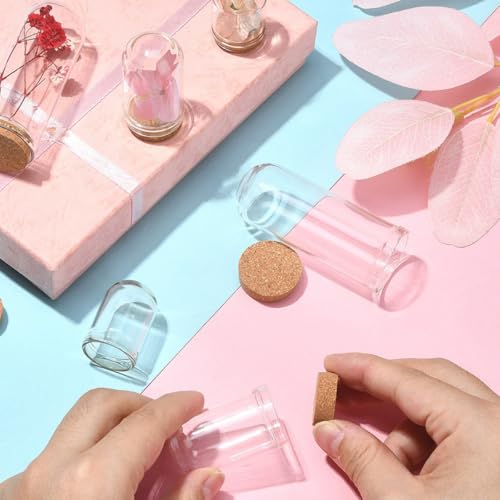 Mini cúpulas de vidrio de alta transparencia y base de madera noble para micro exhibición 5