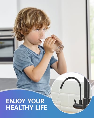 Image of Fapully 3 in 1 Kitchen Sink Faucet with Drinking Water Faucet Matte Black