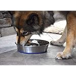 OurPets DuraPet Slow Feed Premium Stainless Steel Bowl (Heavyweight Durable Stainless Steel Bowls, Dog Food Bowl, and Dog Water Bowl) Great Alternative to Snuffle Mat for Dogs-Medium - Image 5