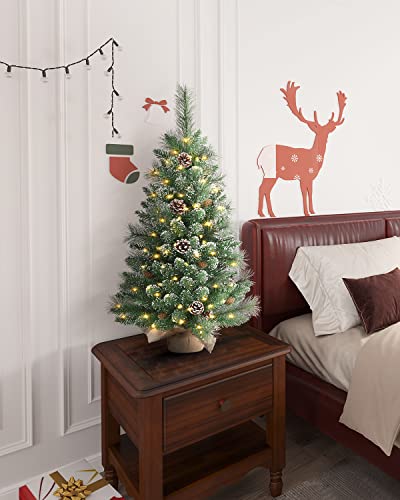 Oasiscraft 2Ft Tabletop Christmas Tree - 24 Inch Christmas Tree,Small Christmas Tree With A Burlap Base, Includes Small White Led Lights And Cloth Bag Base #TOP4