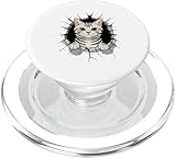 American Shorthair Cat Lover Gifts