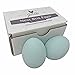 Nest Box Queen Ceramic Chicken Nest Eggs for Nest Box Training - 2 Pack (Blue)