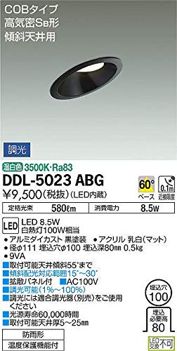 Amazon.co.jp: 大光電機（DAIKO） ダウンライト(軒下兼用) LED