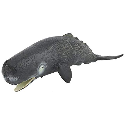 Marine Sperm Whale Educational Toy for Kids Cover