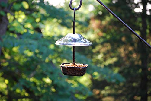 Wildlife Sciences 481 Mealworms Bird Feeder | 5 X 5 Inch Powder Coated Mesh Bowl With Adjustable Stainless Steel Roof thumb #1