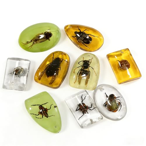 9 piezas de fósiles de insectos de ámbar, colgantes de fósiles de ámbar, diferentes especímenes de insectos, insectos conservados en resina, juguete educativo para niños   Patrones aleatorios