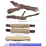 5PCS Large Bird Perch Stand, Natural Wood Pole Standing Paw Grinding Fork Parrot Cage Branch with Rope for Macaw African Grey Amazon Pet Medium Large Birds Cage Accessories - Image 3