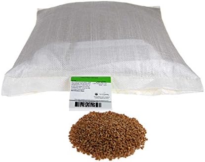 Organic Hard Red Wheat Seed: 25 Lb - Handy Pantry Brand - Grow Wheatgrass, Flour, Grain & Bread, Emergency Food Storage, Ornamental Wheat Grass - Non-GMO, Sprouting Wheat Berries - High Germination