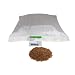 Organic Hard Red Wheat Seed: 25 Lb - Handy Pantry Brand - Grow Wheatgrass, Flour, Grain & Bread, Emergency Food Storage, Ornamental Wheat Grass - Non-GMO, Sprouting Wheat Berries - High Germination