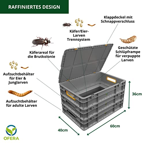 OFERA Mehlwurm Farm Zucht für Mehlwürmer Insekten Hühnerfutter Vogelfutter Wildvögel ganzjährig Fischfutter Aquarium Wurmkiste Komposter Mehlwürmer lebend Futter Hühner Zubehör Kompost Dünger Bio
