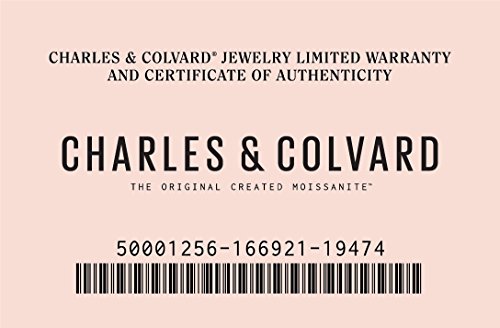 Charles & Colvard Forever One 2.2Mm Round Cut Moissanite Eternity Band For Women | 1 Cttw Dew | Lab Grown | Solid 14K White Gold With Rhodium | Size 6 #TOP7
