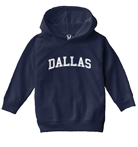 Haase Unlimited Dallas - State Proud Strong Pride Toddler/Youth Fleece Hoodie2