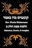 Rav Moshe Heinemann: Halachos, Stories, and Insights: Shabbos II