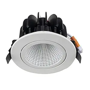 DOSTI ELECTONIC and Electrical 30 Watt Adjustable COB Down Light for Indoor Lighting (Pack of 1) (Light Color: White)