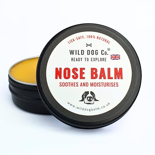 Dog Nose Balm for dry damaged noses works fast snout soother repairs sore crusty dry dog noses and lips loved by frenchies bulldogs labradors and all breeds of dog made in the UK 30g
